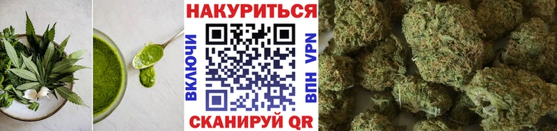 omg маркетплейс  сколько стоит  Сусуман  Печенье с ТГК конопля 
