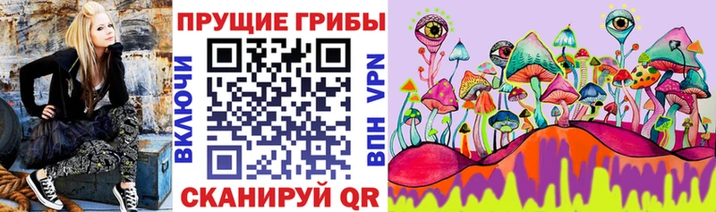 MEGA маркетплейс Сусуман Галлюциногенные грибы мицелий что такое наркотик